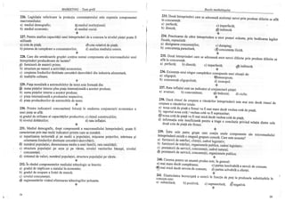 Marketing teste grila