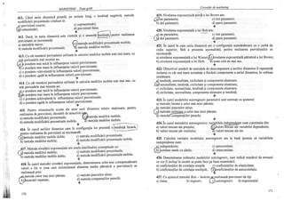 Marketing teste grila