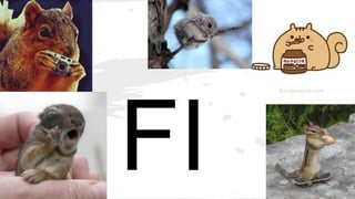 FI
 