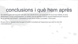 conclusions i què hem après
No sabíem gaire del esquirol i per això vam decidir fer-lo, per aprendre on era el seu hàbitat, la seva
alimentació i el seu comportament. La veritat, ens ha agradat molt fer aquest treball perquè l’esquirol
és un animal molt divertit i interessant, ja que tenia moltes curiositats i informació.
El que ens ha agradat més ha sigut recopilar curiositats de l’esquirol ja que això ho hem fet
comunitàriament
 
