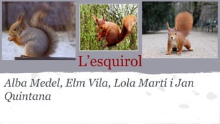 L’esquirol
Alba Medel, Elm Vila, Lola Martí i Jan
Quintana
 