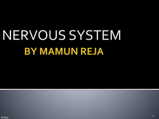 NERVOUS SYSTEM
1
M.Reja
 