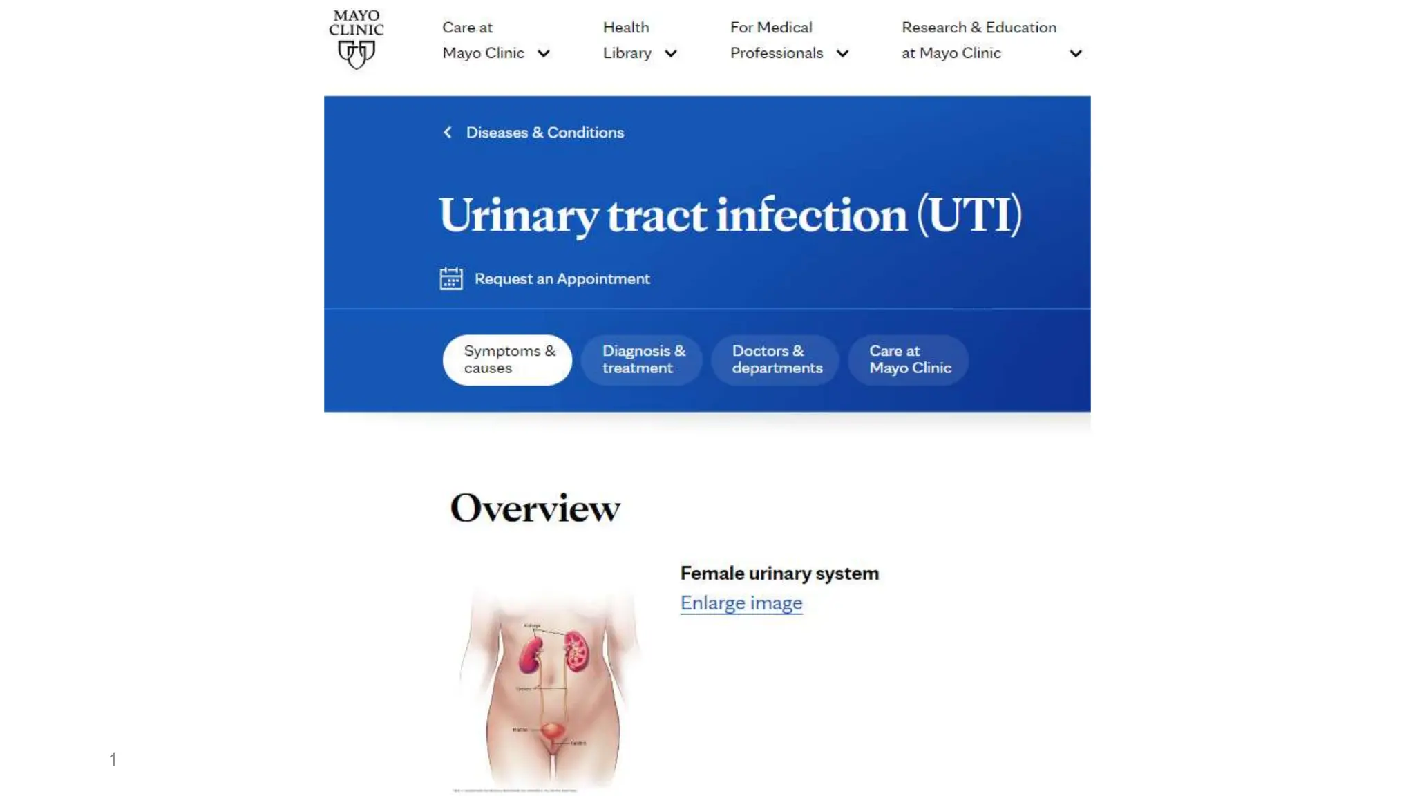 By Mayo Clinic Staff Urinary tract infection (UTI) care at Mayo Clinic.pptx