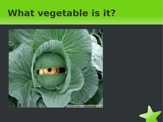 What vegetable is it? 