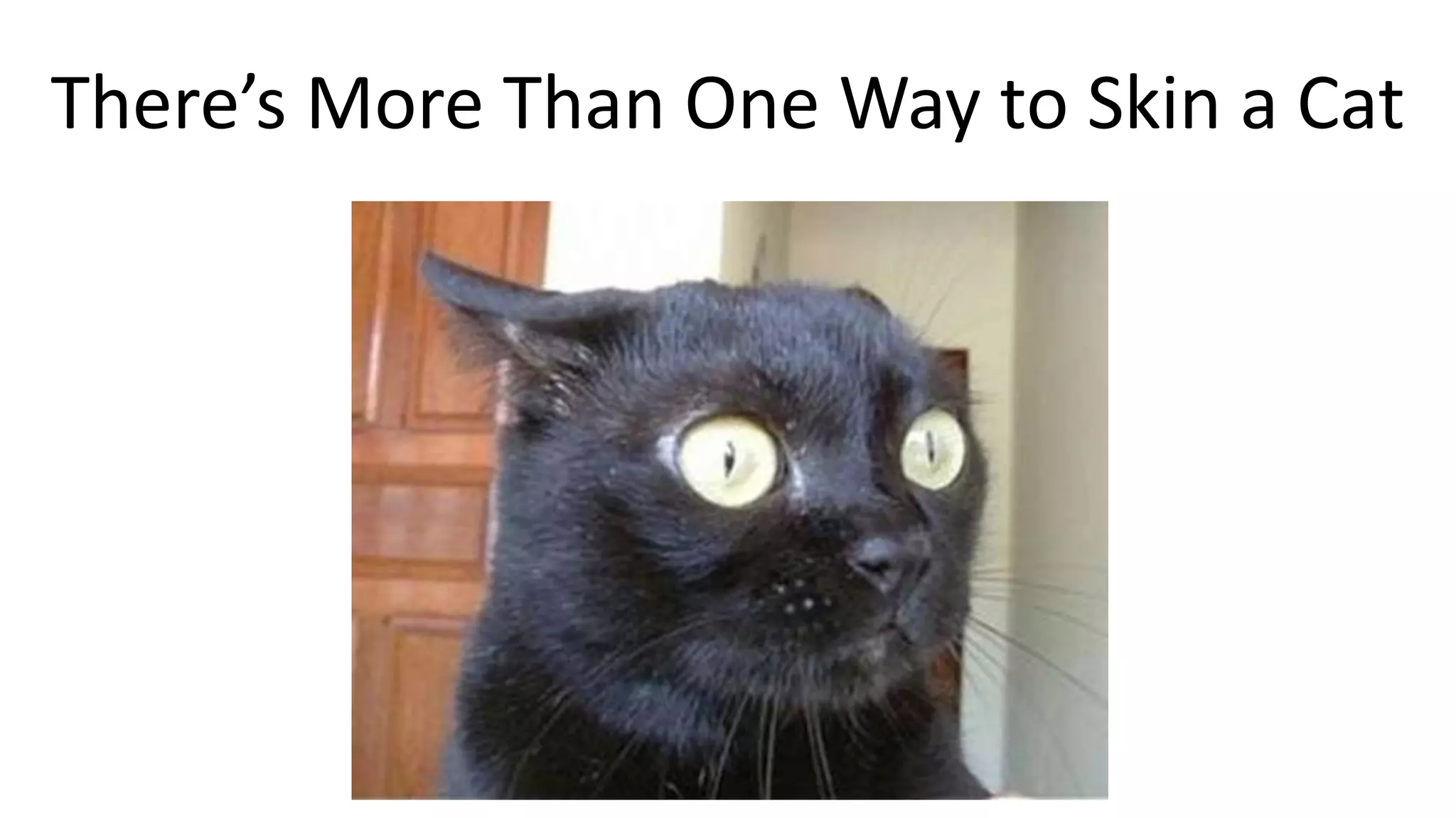 There’s More Than One Way to Skin a Cat
 