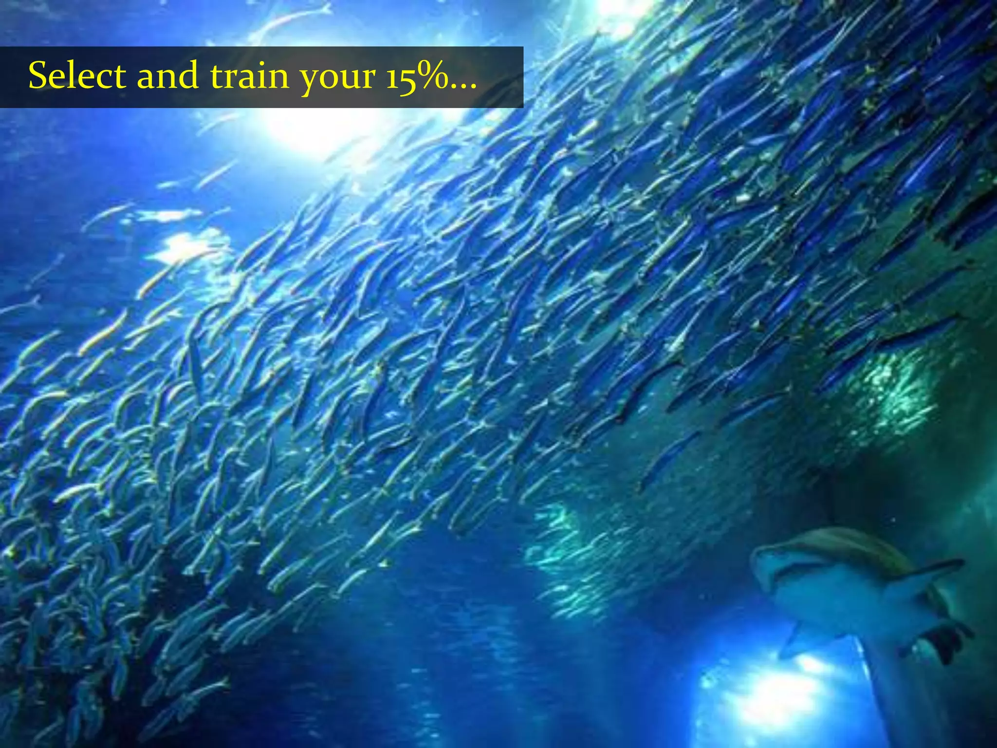 Select and train your 15%...
 