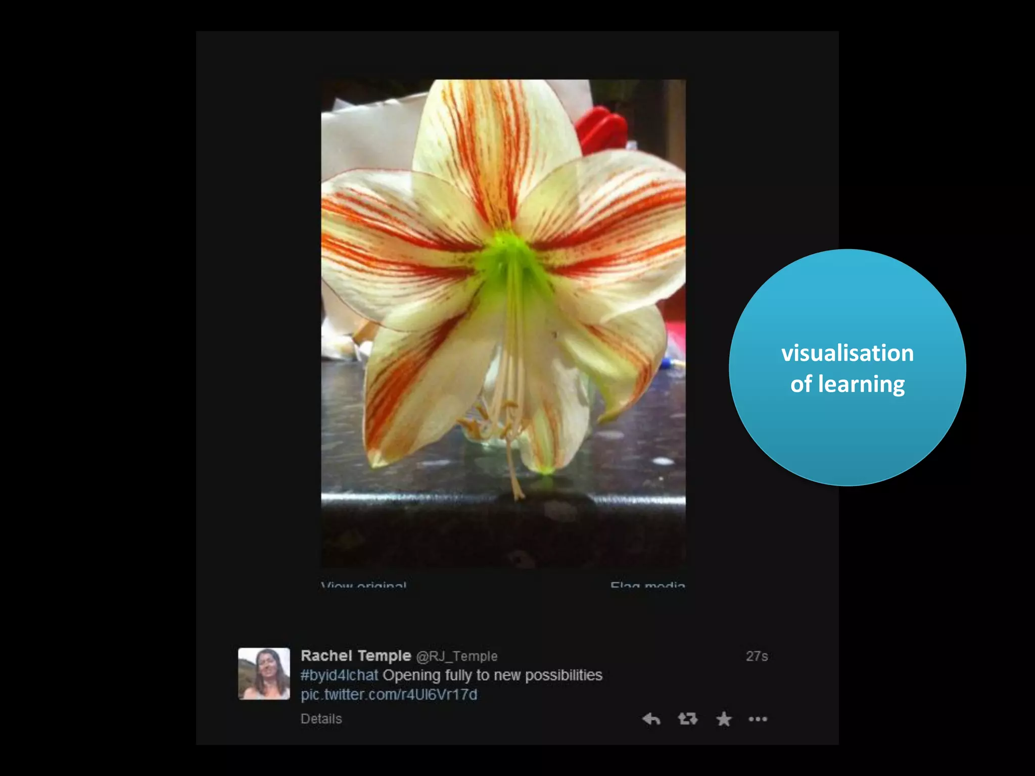 visualisation
of learning

 