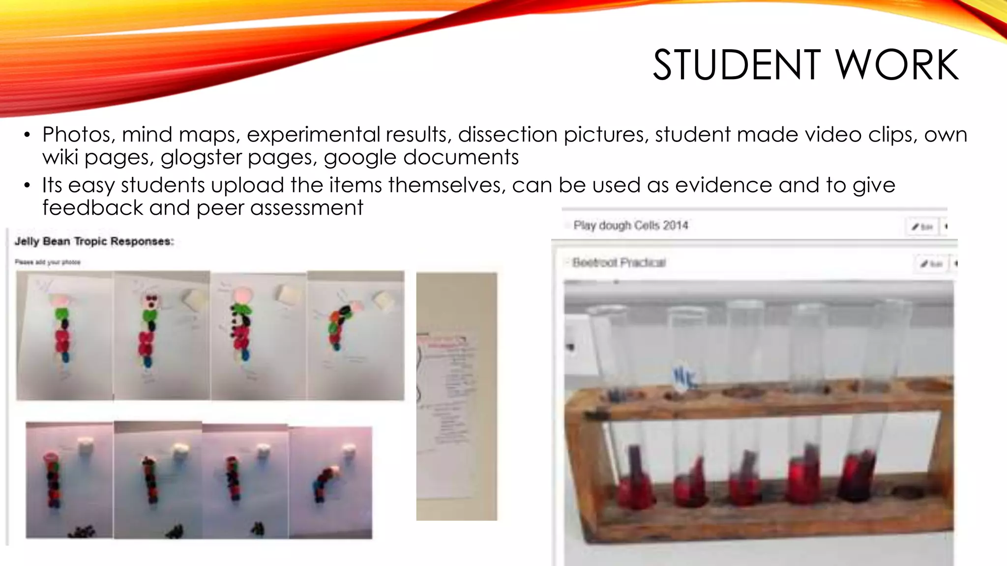 STUDENT WORK
• Photos, mind maps, experimental results, dissection pictures, student made video clips, own
wiki pages, glogster pages, google documents
• Its easy students upload the items themselves, can be used as evidence and to give
feedback and peer assessment
 