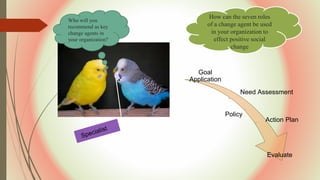 Goal
Application
Need Assessment
Policy
Action Plan
Evaluate
Who will you
recommend as key
change agents in
your organization?
How can the seven roles
of a change agent be used
in your organization to
effect positive social
change
 