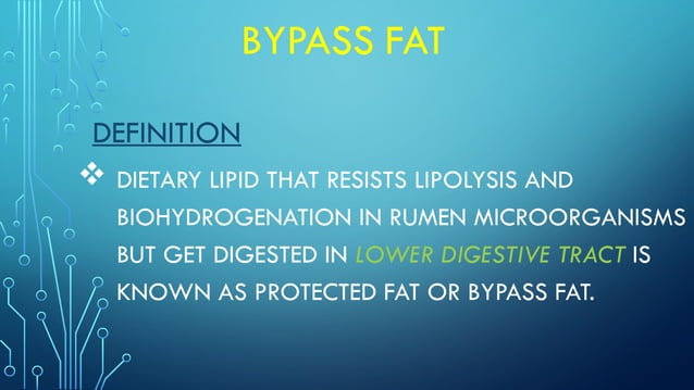 Presentation on Bypass fat in animals.pptx