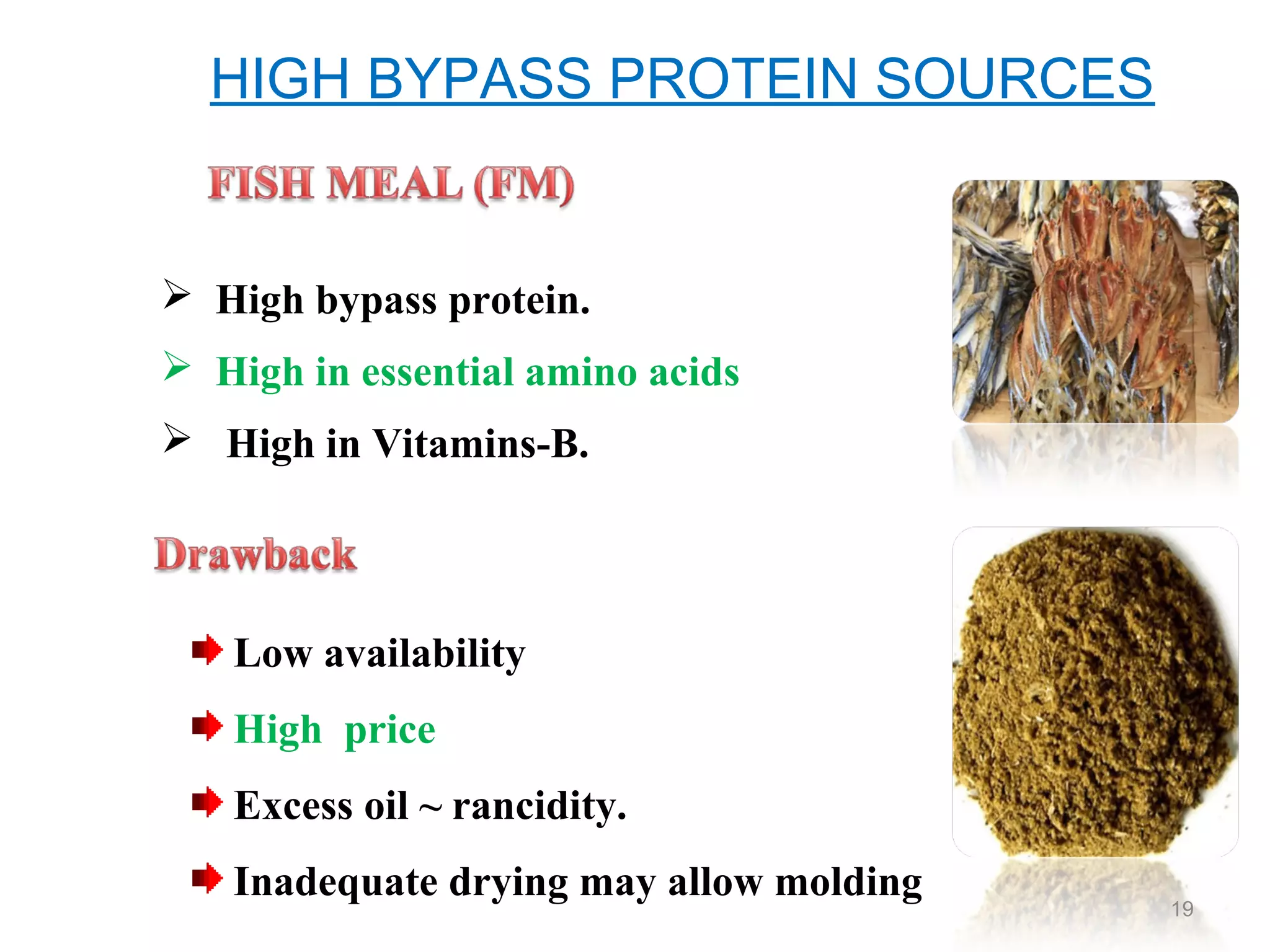 Bypass fat and bypass protein in livestock feeding PPT
