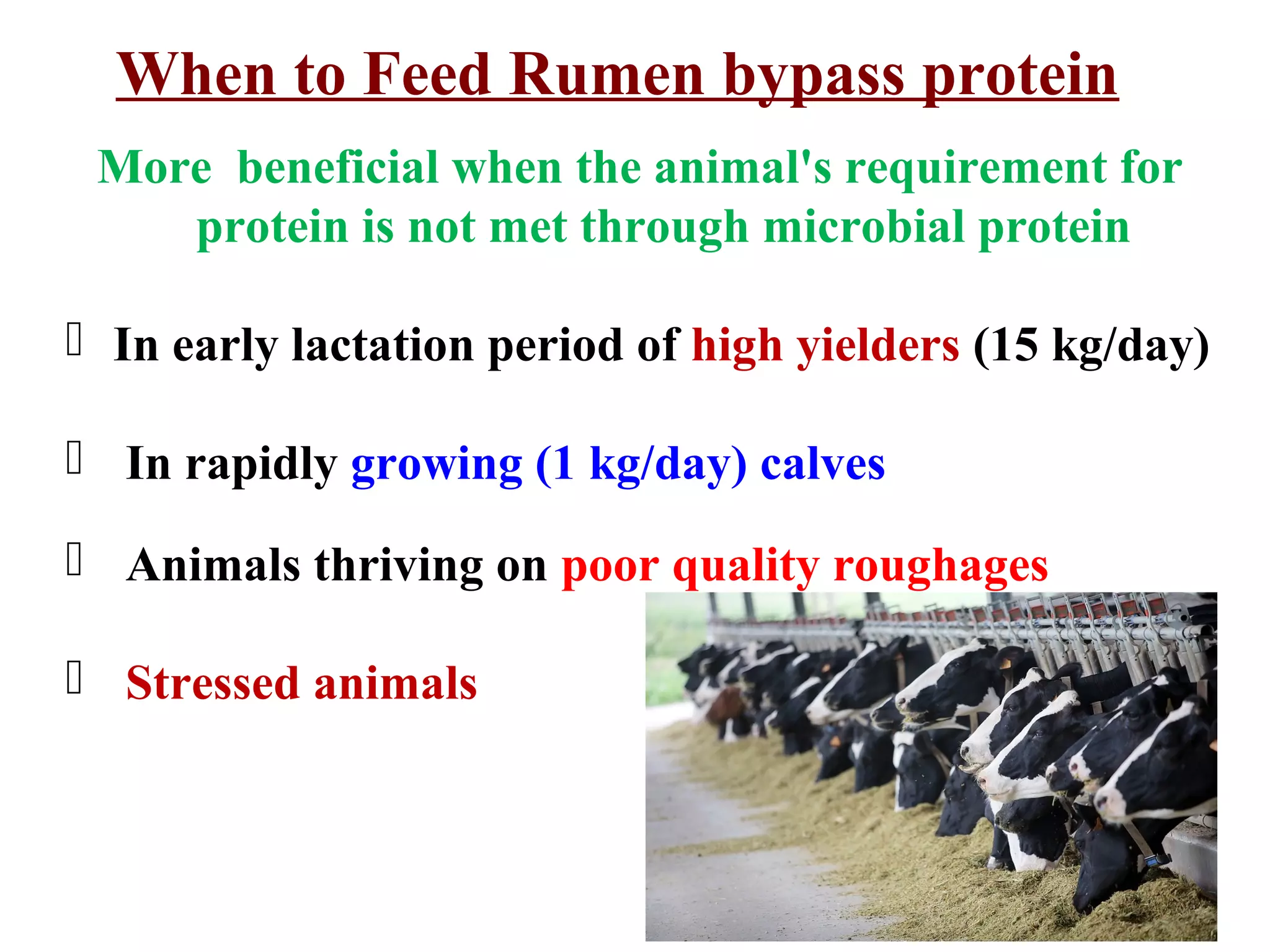 Bypass fat and bypass protein in livestock feeding PPT