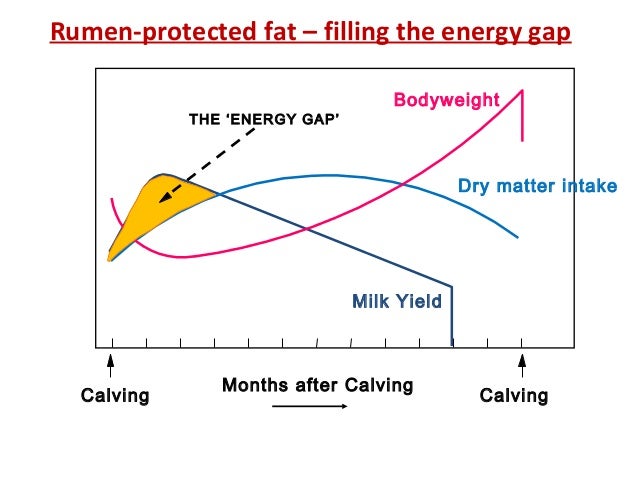 how bypass 5/24 to Bypass protein feeding livestock and fat bypass in