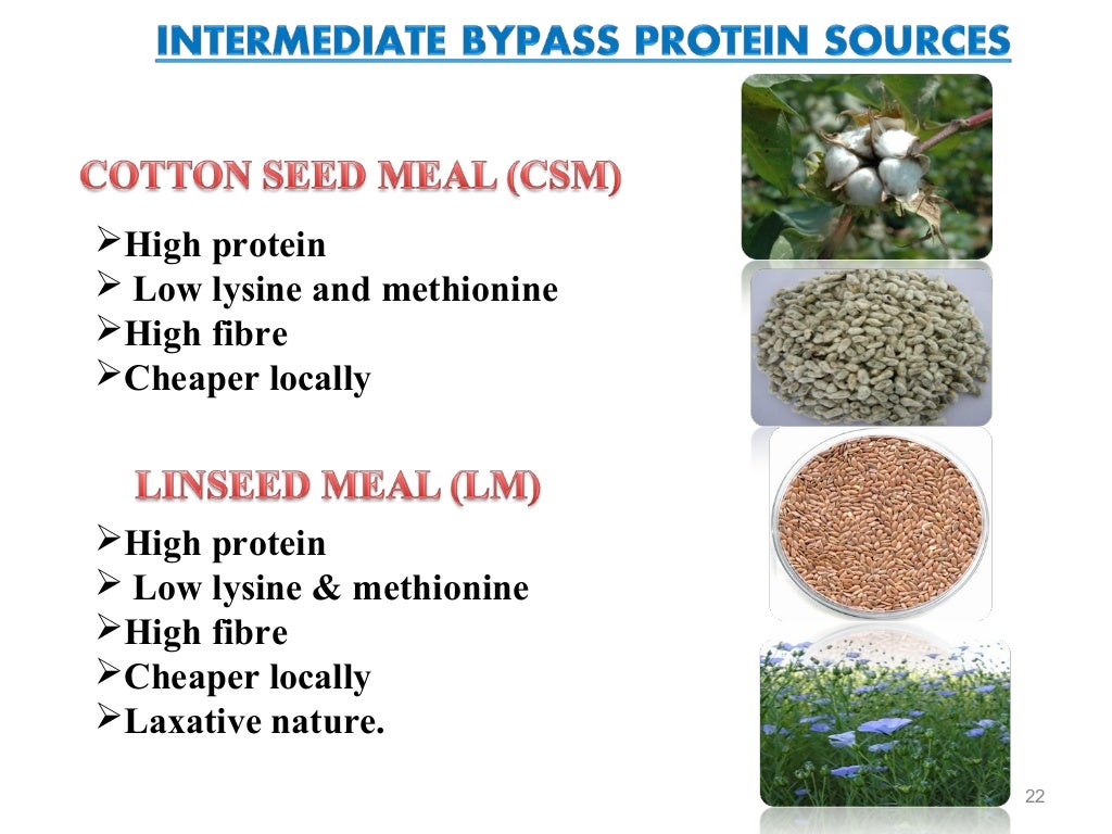 Bypass fat and bypass protein in livestock feeding