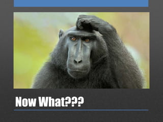Now What???
 