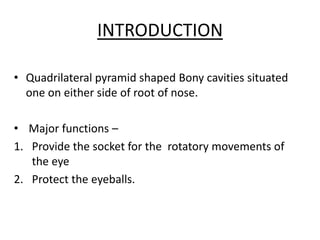 By pd anatomy of the orbit | PPTX