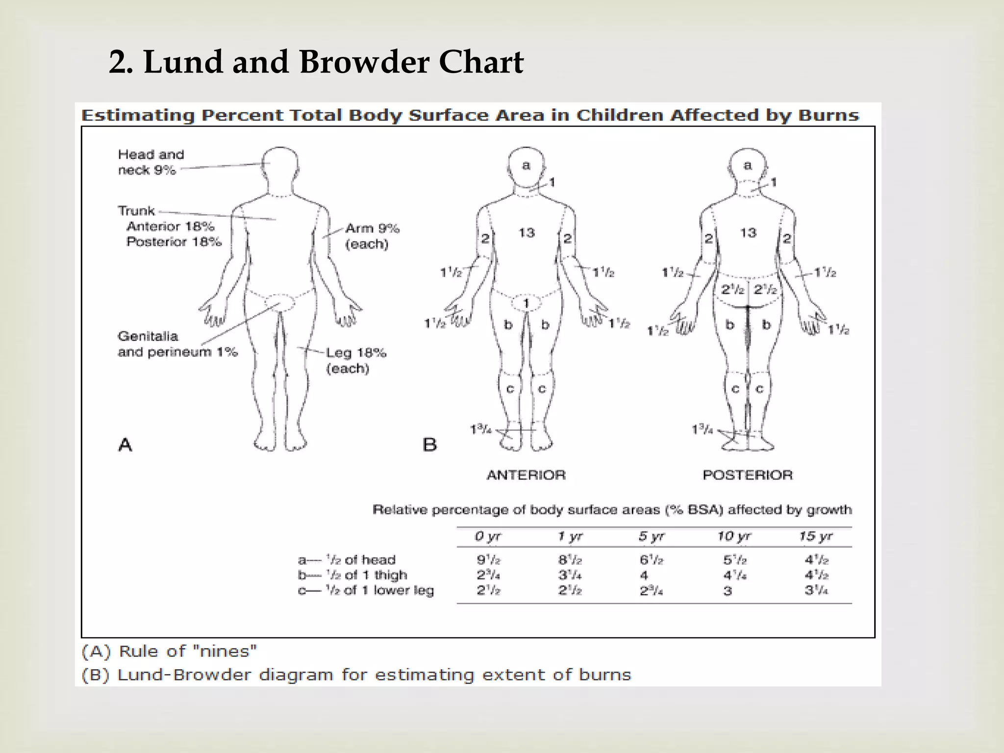 BURN WOUND ASSESSMENT by Priya Malik ( M.Pharm) | PPTX