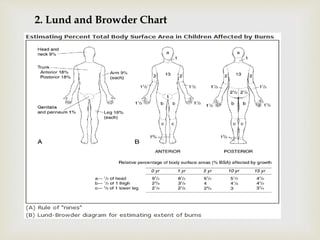 BURN WOUND ASSESSMENT by Priya Malik ( M.Pharm) | PPT