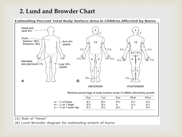 BURN WOUND ASSESSMENT by Priya Malik ( M.Pharm) | PPTX | First Aid ...