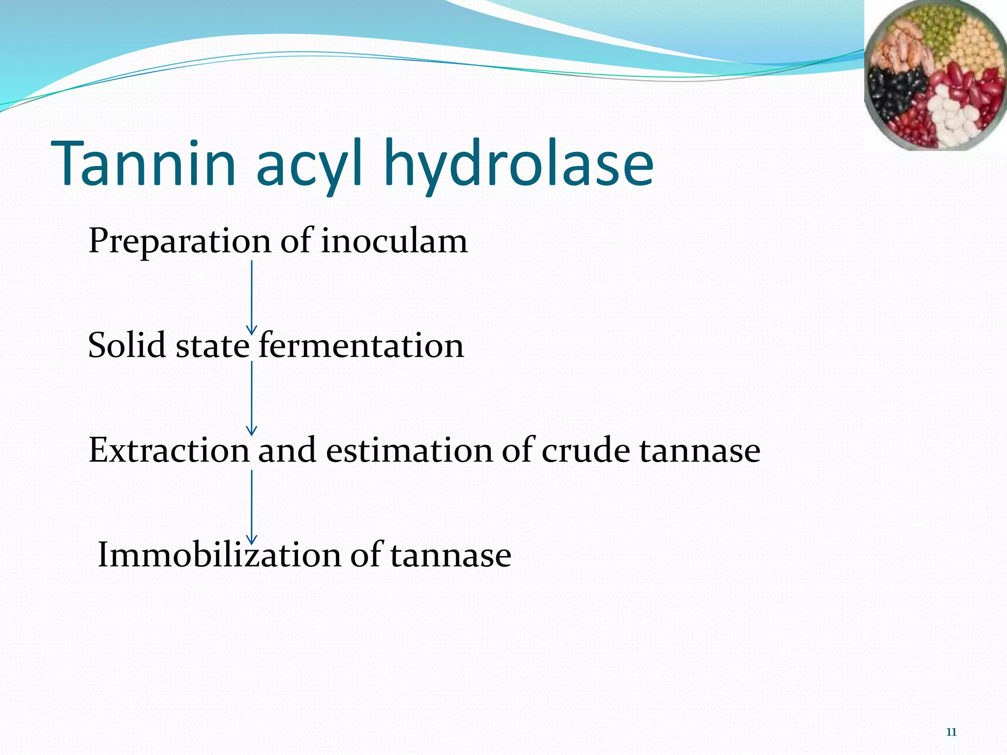 Tannin acyl hydrolase
Preparation of inoculam
Solid state fermentation
Extraction and estimation of crude tannase
Immobilization of tannase
11
 
