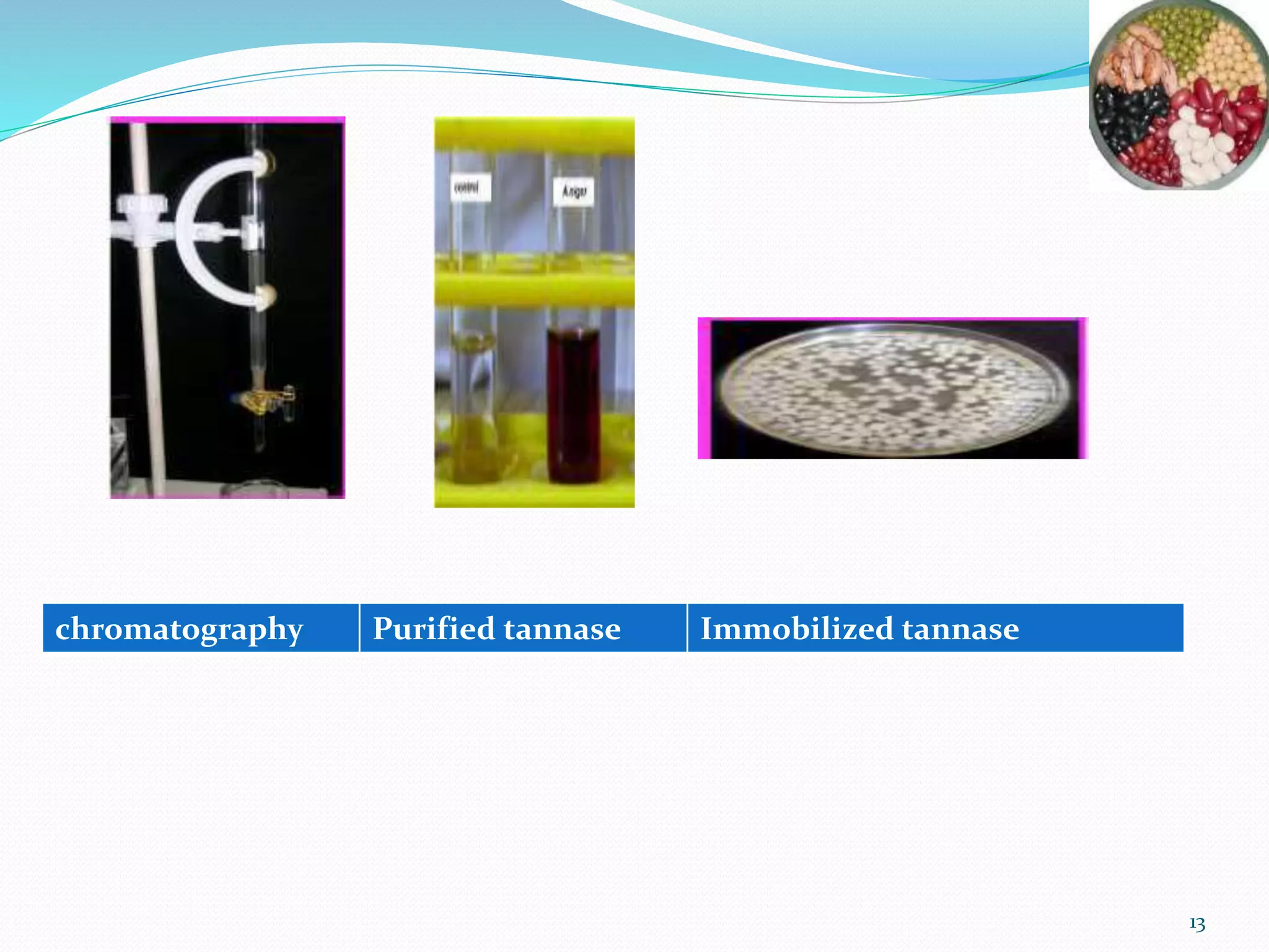chromatography Purified tannase Immobilized tannase
13
 