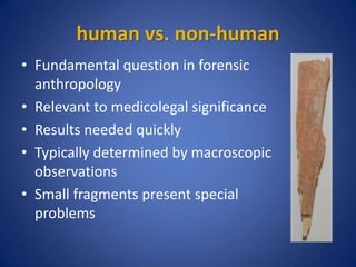 human vs. non-human
• Fundamental question in forensic
anthropology
• Relevant to medicolegal significance
• Results needed quickly
• Typically determined by macroscopic
observations
• Small fragments present special
problems
 