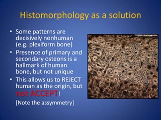 Histomorphology as a solution
• Some patterns are
decisively nonhuman
(e.g. plexiform bone)
• Presence of primary and
secondary osteons is a
hallmark of human
bone, but not unique
• This allows us to REJECT
human as the origin, but
not ACCEPT!
[Note the assymmetry]
 