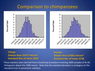 Comparison to chimpanzees
010
P
Chimp:
Osteon Area 25377 micron2
Standard Dev of mean 2692
Human:
Osteon Area 37365 micron2
Standard Dev of mean 2728
These statistics were derived from a bootstrap procedure involving 1000 samples of N=30.
Histograms depict the 1000 means. Note that the standard deviation is analogous to the
standard error in parametric statistics.
 