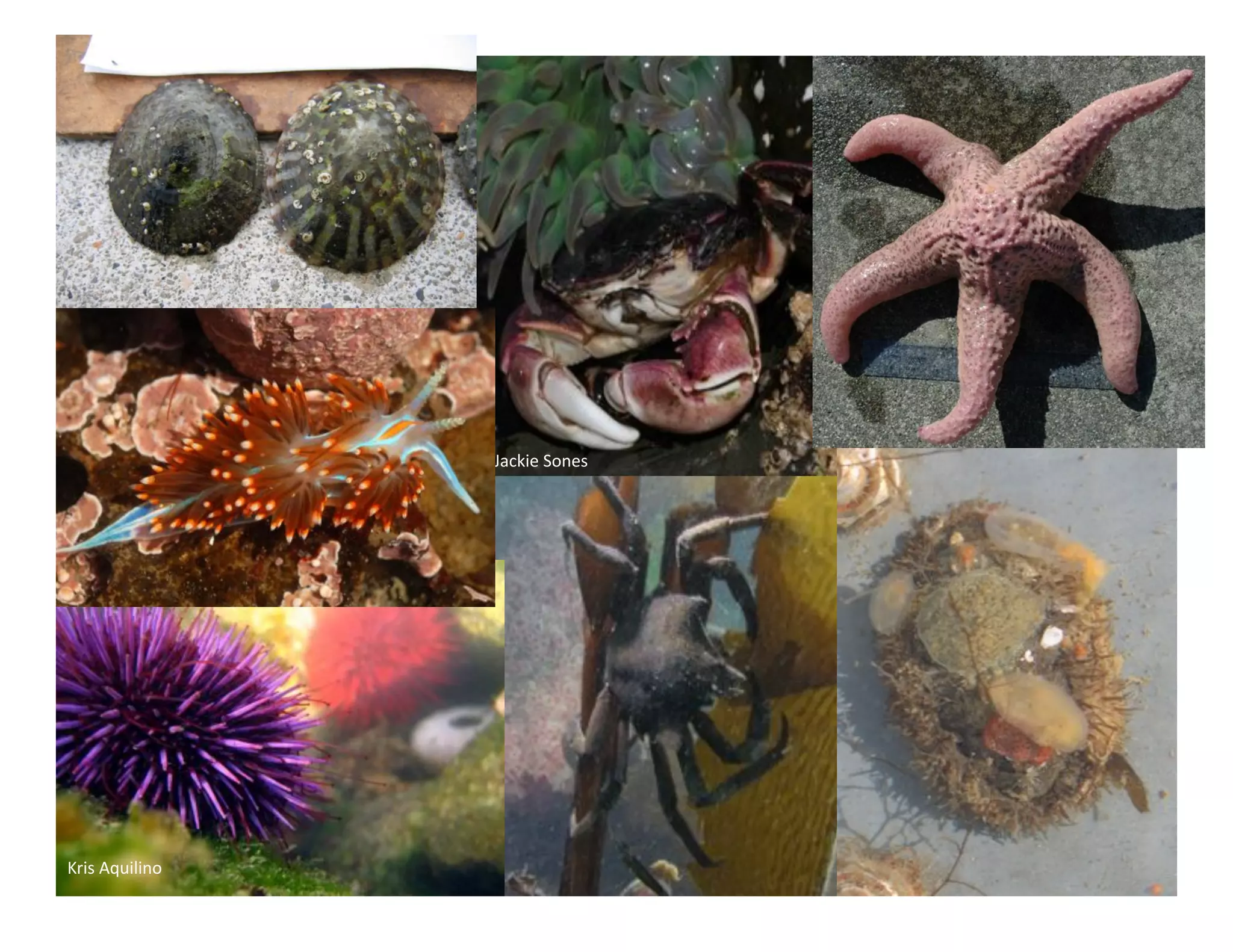 ]".?0)'5$%)3'




[+03'1O0&0%$'
 