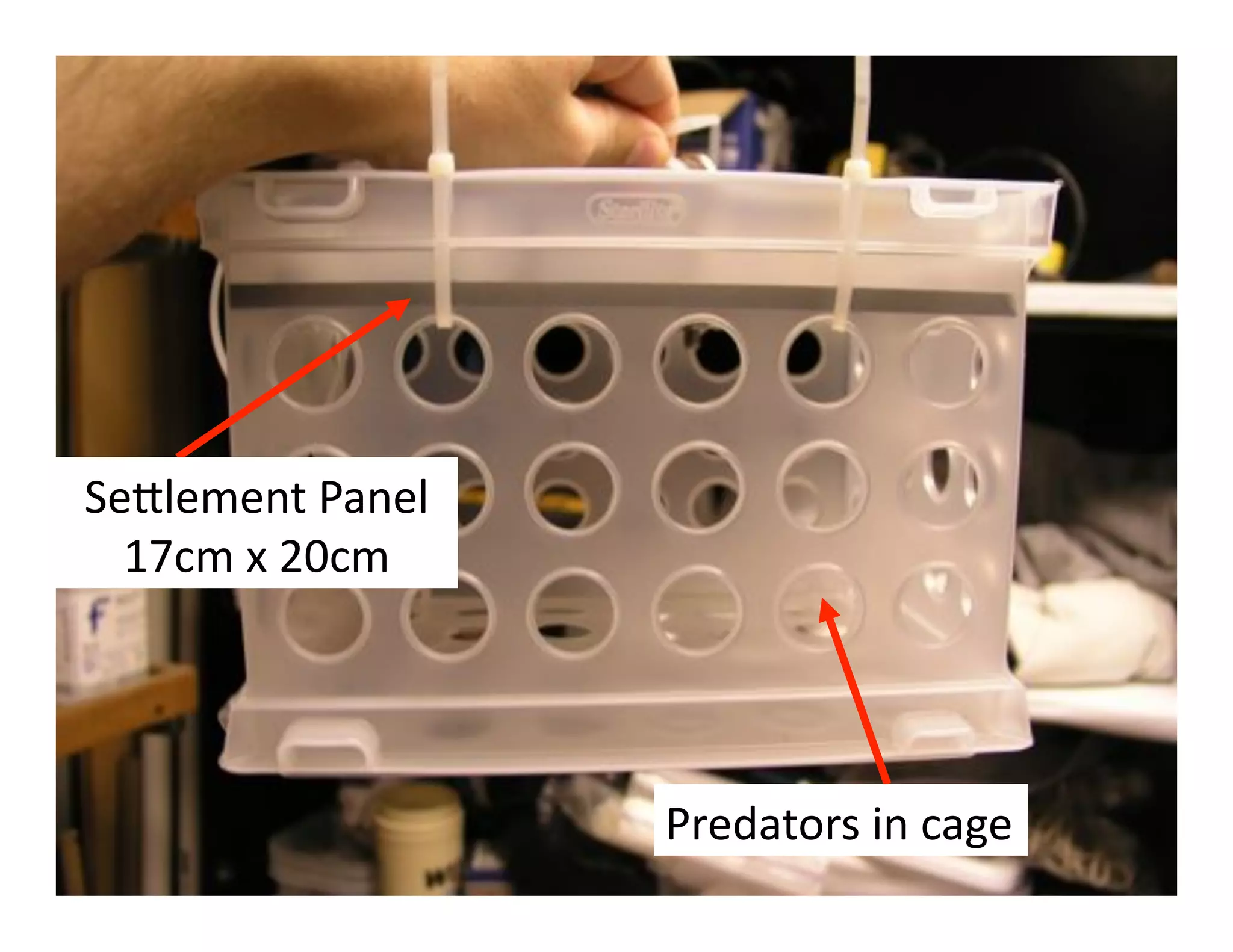 5)7&)@)%*'R"%)&'
  DM.@'Y'CG.@'




                   R+)4"*$+3'0%'."/)'
 