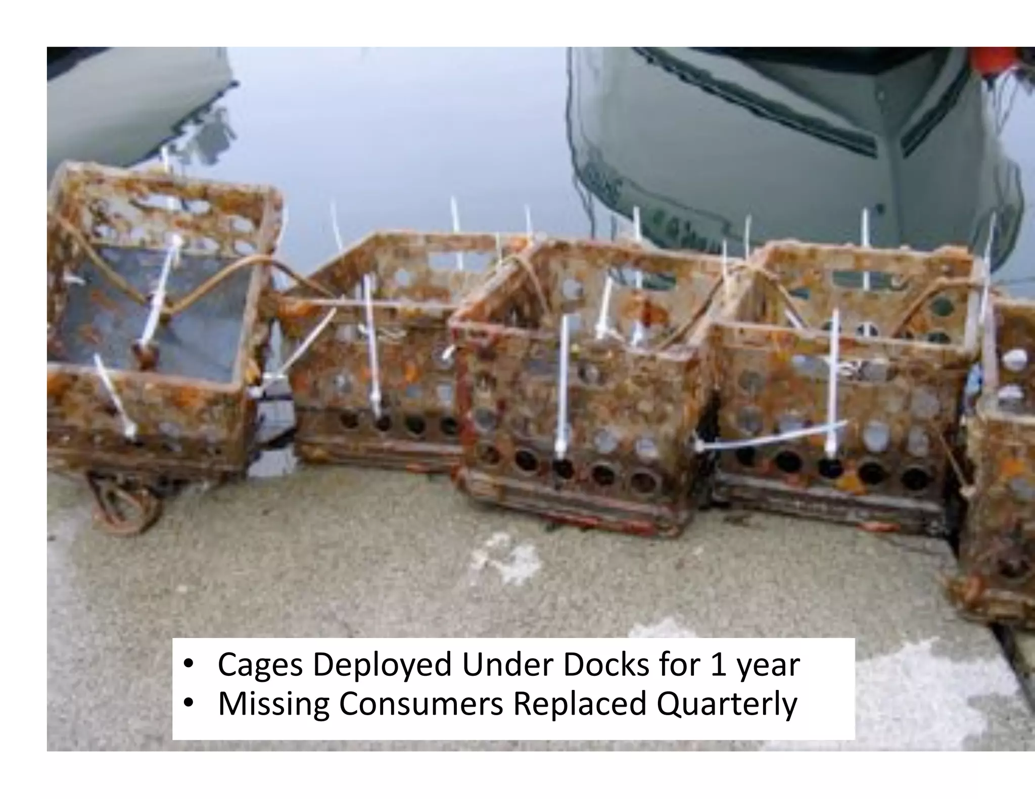 •  ("/)3'B)8&$2)4'd%4)+'B$.?3',$+'D'2)"+'
•  e0330%/'($%3O@)+3'T)8&".)4'fO"+*)+&2'
 