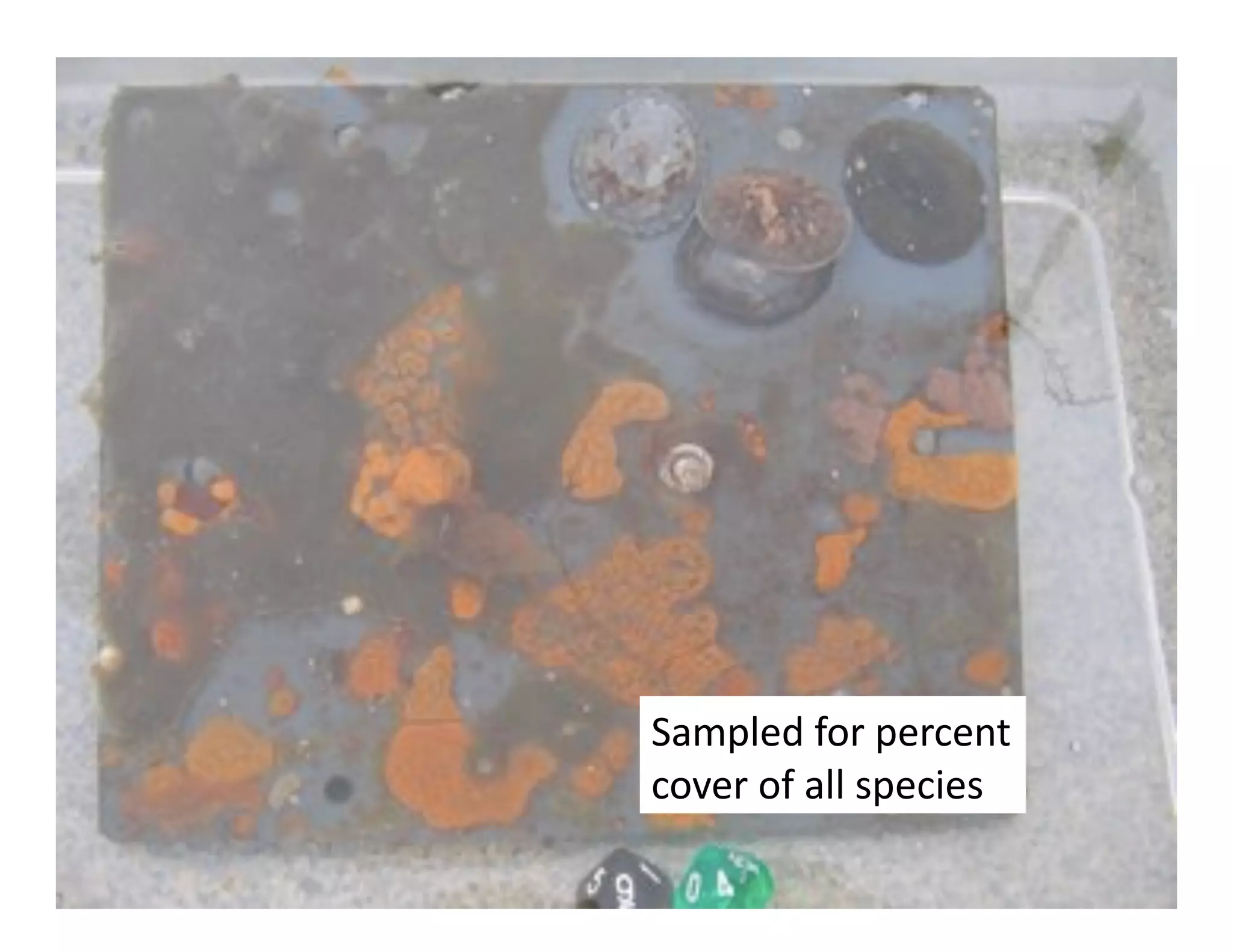 5"@8&)4',$+'8)+.)%*'
.$P)+'$,'"&&'38).0)3'
 