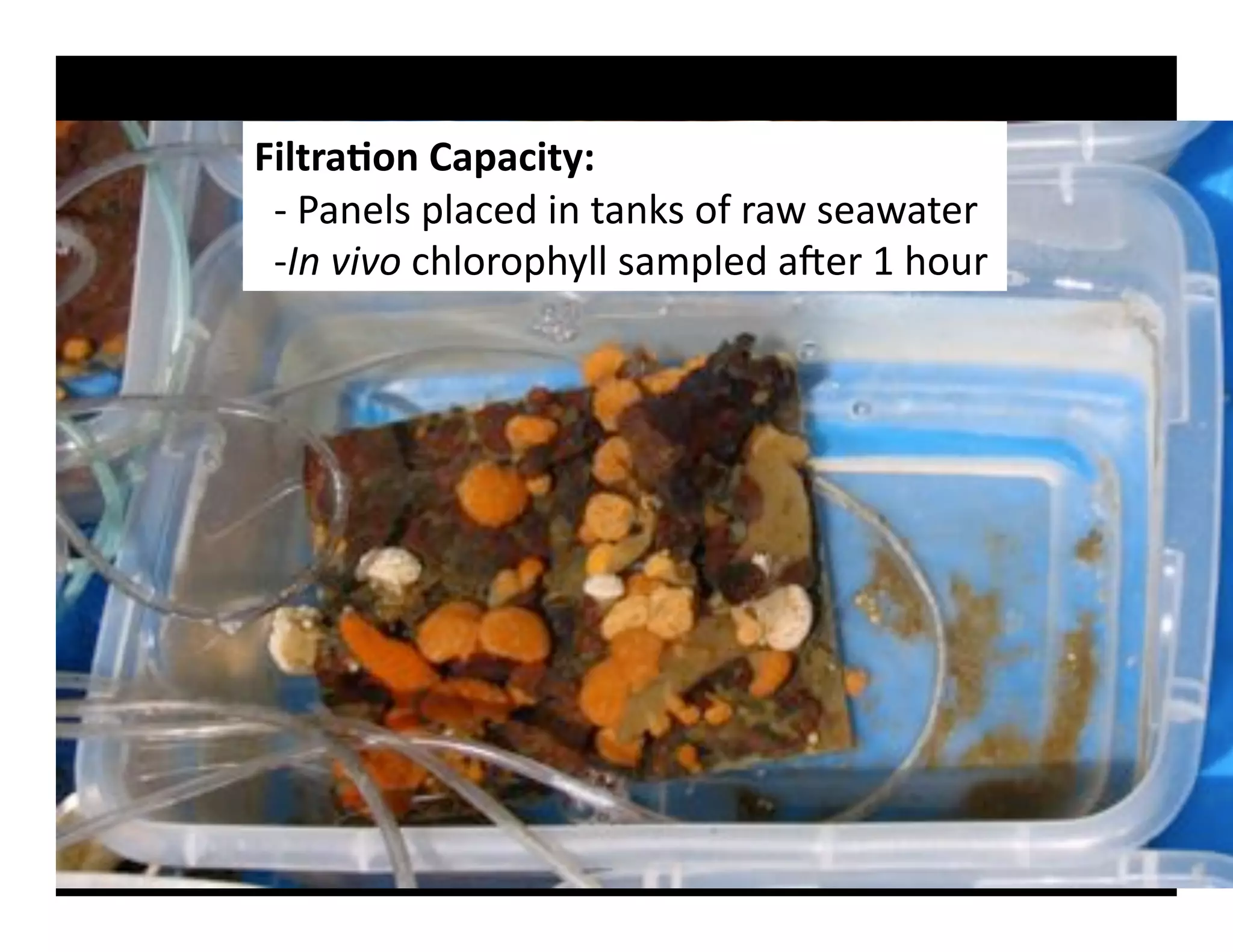 C-5A#"E.)&F"I"8-A(S&
''g'R"%)&3'8&".)4'0%'*"%?3'$,'+"X'3)"X"*)+'
''g!"#,-,&'.6&$+$862&&'3"@8&)4'"h)+'D'6$O+'
 