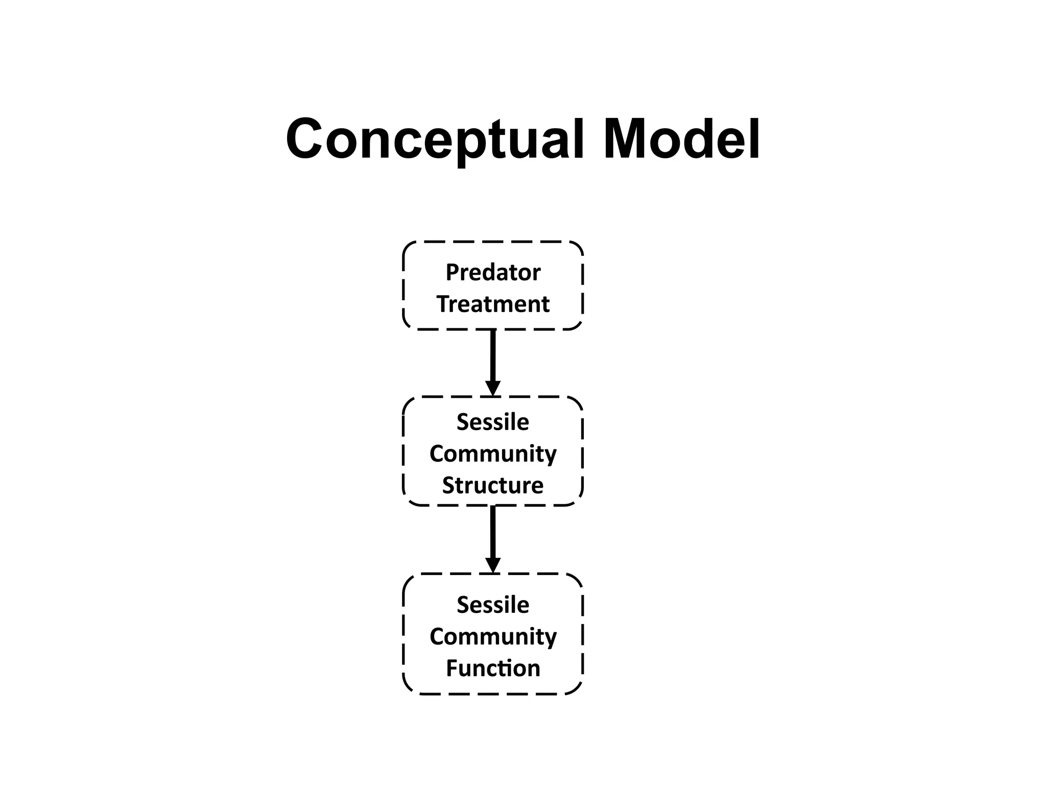 Conceptual Model

      H#$6"A.#&
     T#$"AB$)A&



      ,$**-5$&
    F.BBD)-A(&
     ,A#D8AD#$&



      ,$**-5$&
    F.BBD)-A(&
     CD)8E.)&
 