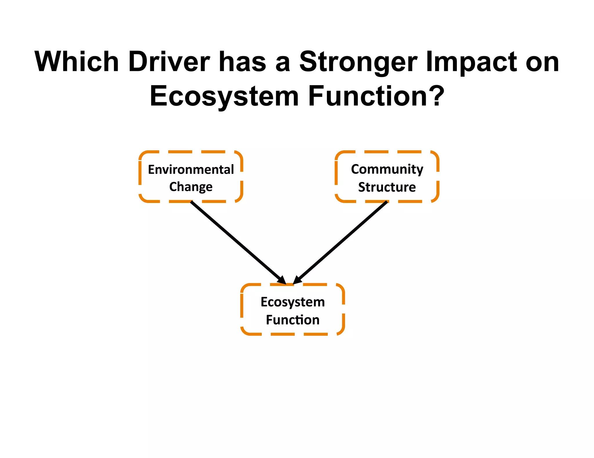 Which Driver has a Stronger Impact on
       Ecosystem Function?

       @)G-#.)B$)A"5&                F.BBD)-A(&
          F9")7$&                     ,A#D8AD#$&




                        @8.*(*A$B&
                         CD)8E.)&
 
