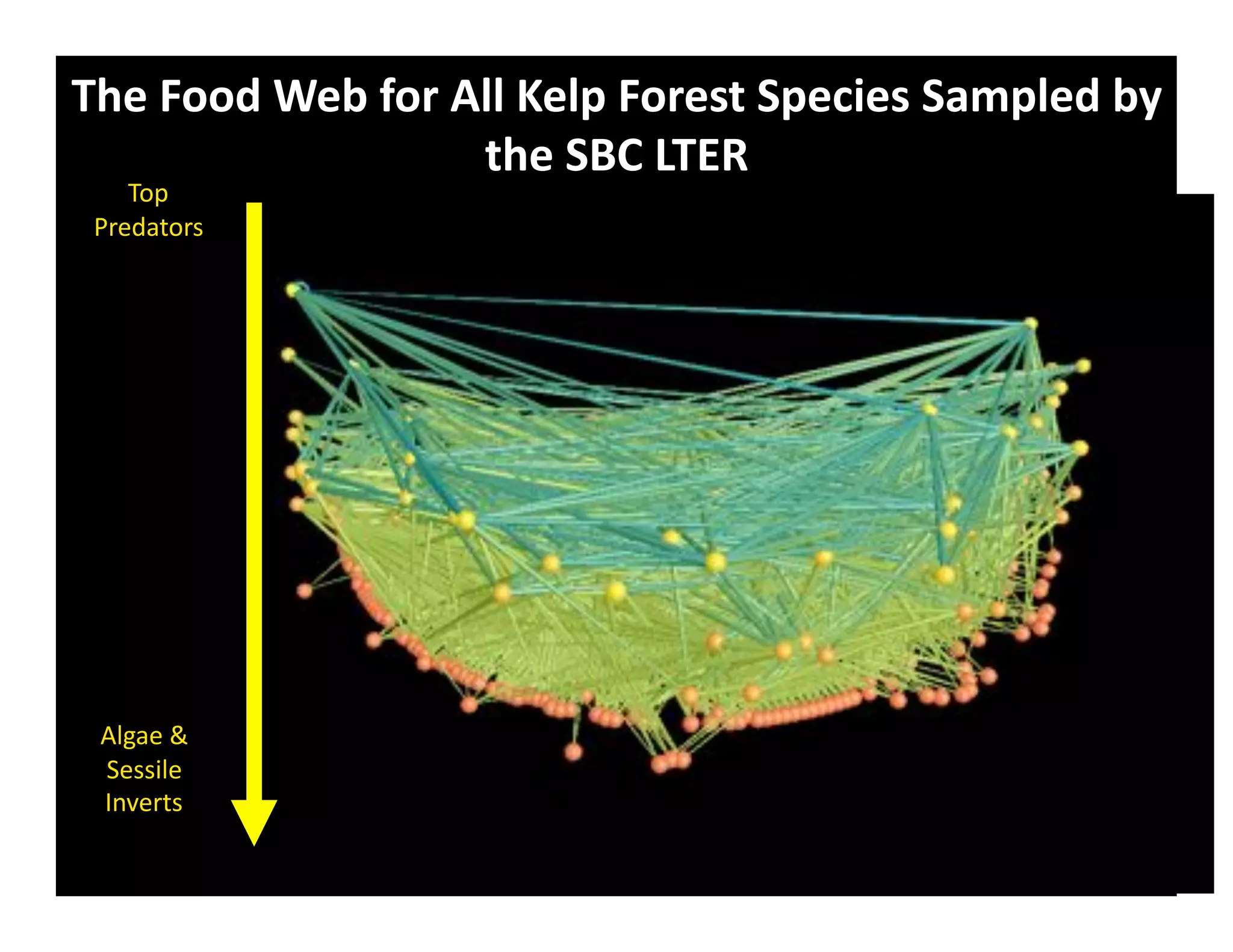T9$&C..6&1$2&/.#&+55&3$5I&C.#$*A&,I$8-$*&,"BI5$6&2(&
                  A9$&,'F&WT@O&
    Z$8''
 R+)4"*$+3'




 1&/")'U'
 5)330&)''
 p%P)+*3'
 