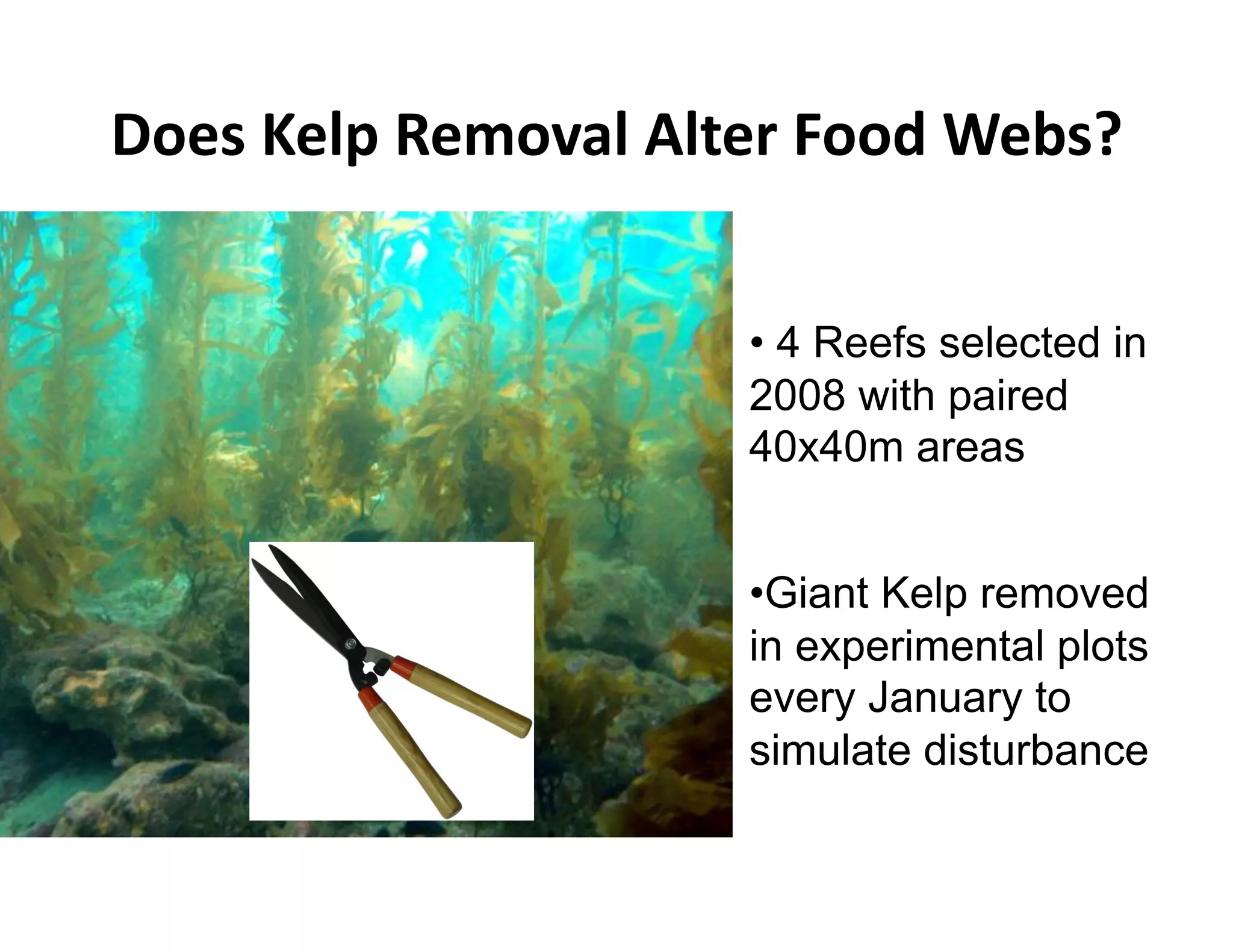 J.$*&3$5I&O$B.G"5&+5A$#&C..6&1$2*^&


                     •  4 Reefs selected in
                     2008 with paired
                     40x40m areas


                     • Giant Kelp removed
                     in experimental plots
                     every January to
                     simulate disturbance
 