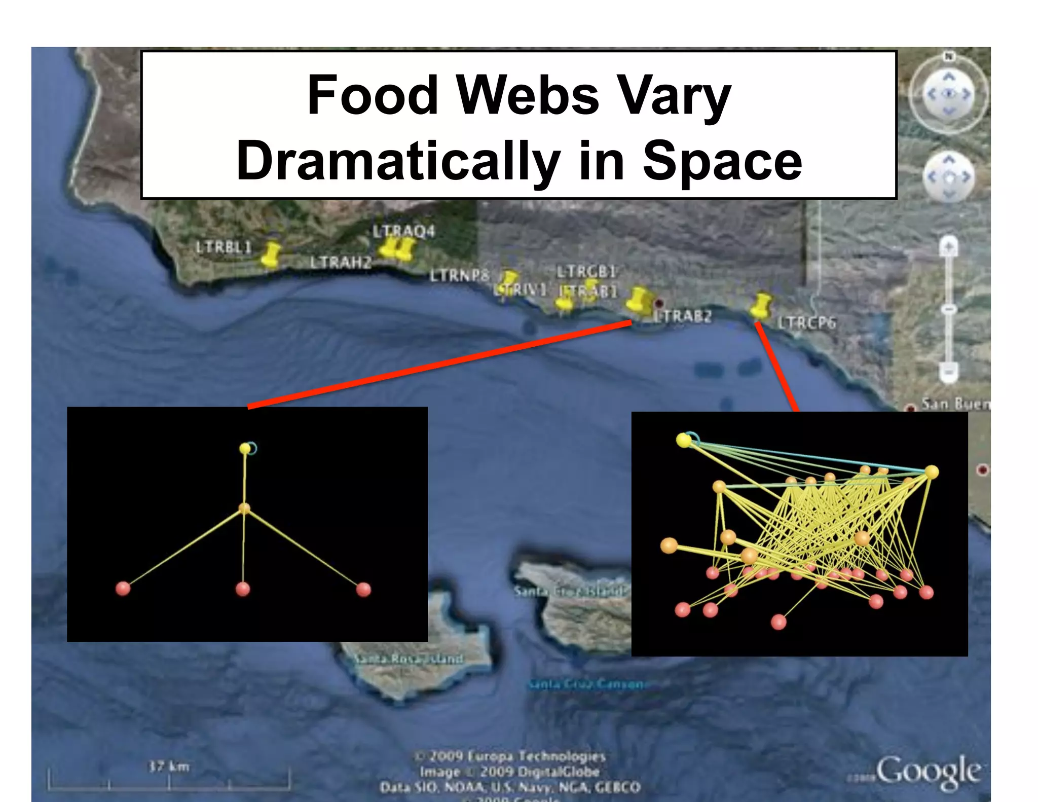 Food Webs Vary
Dramatically in Space
 