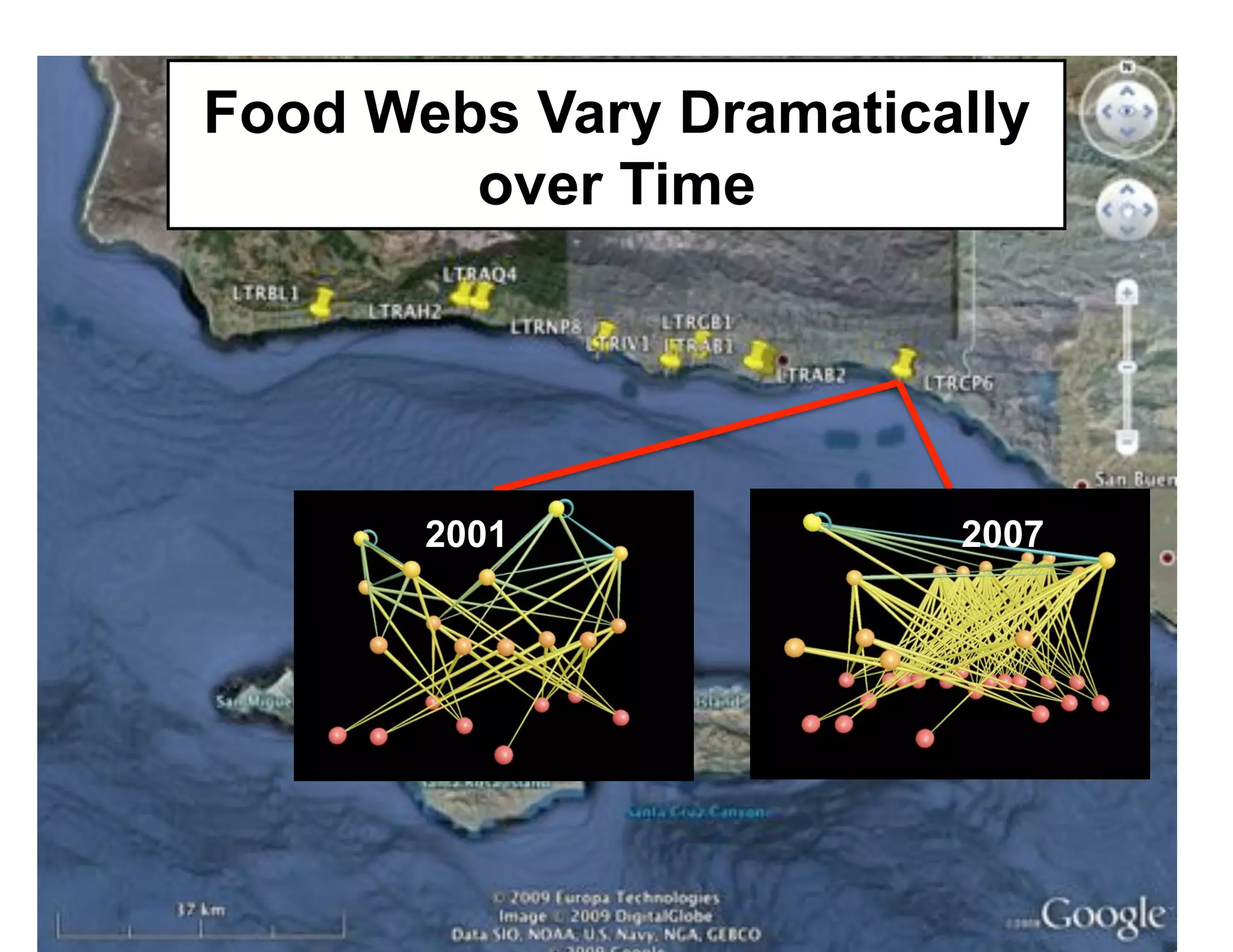 Food Webs Vary Dramatically
        over Time




       2001             2007
 