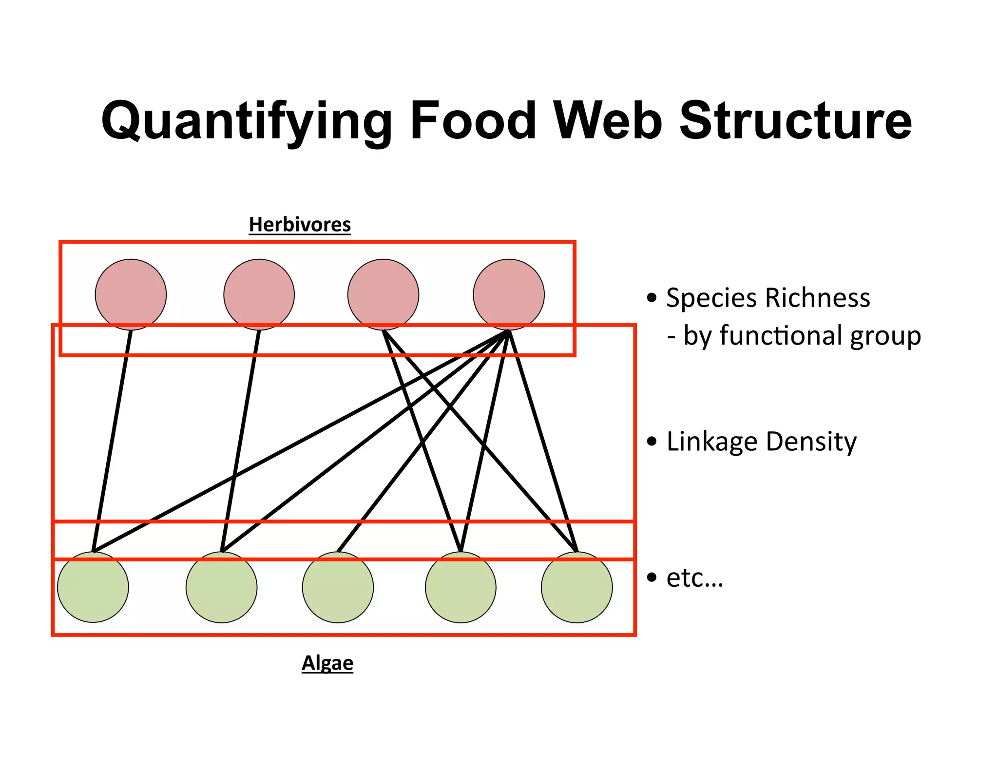 Quantifying Food Web Structure
     M$#2-G.#$*'


                    i '58).0)3'T0.6%)33'
                       g'<2',O%.#$%"&'/+$O8'


                    i 'c0%?"/)'B)%30*2'



                    i ')*.t'

          +57"$'
 