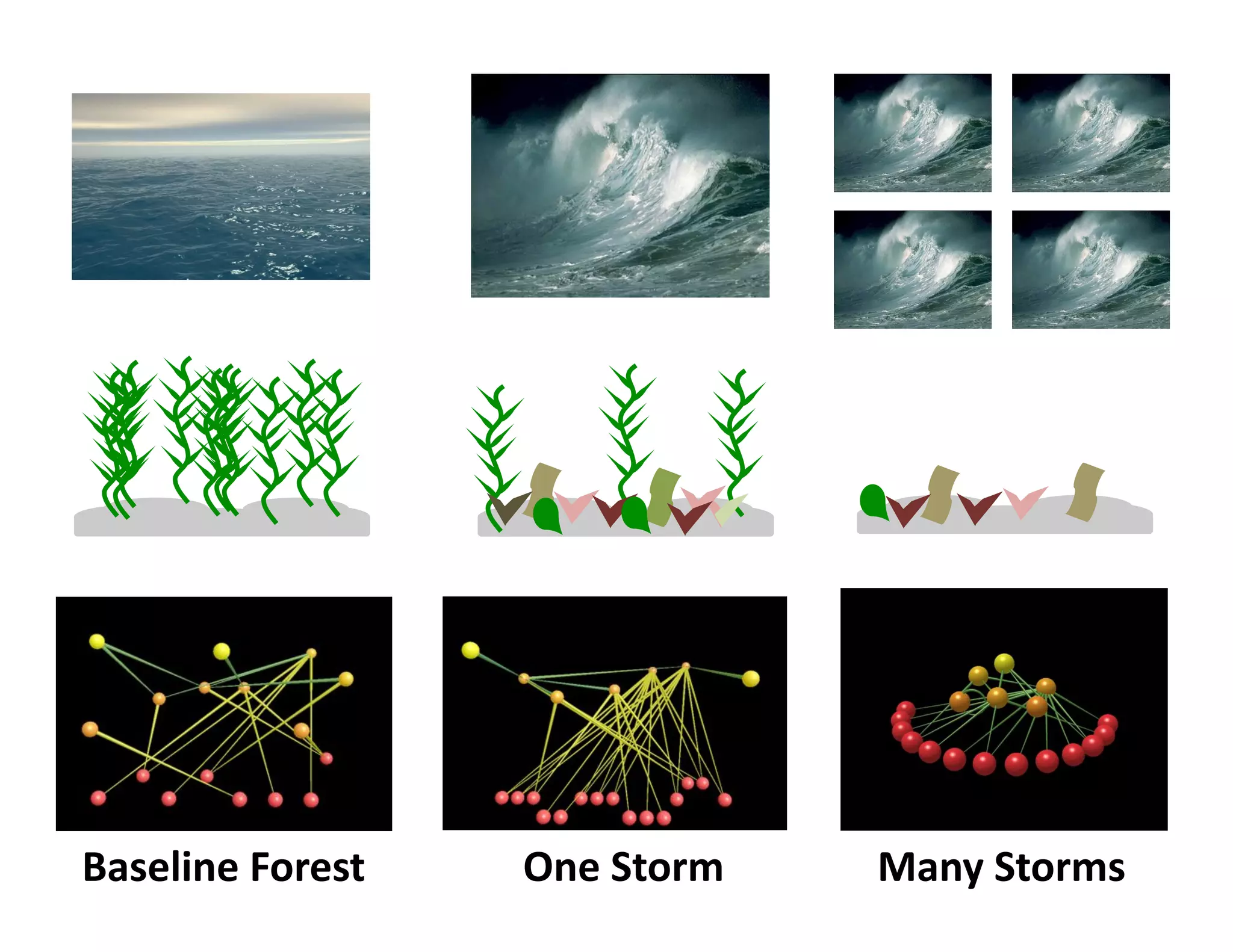 '"*$5-)$&C.#$*A&   K)$&,A.#B&   N")(&,A.#B*&
 