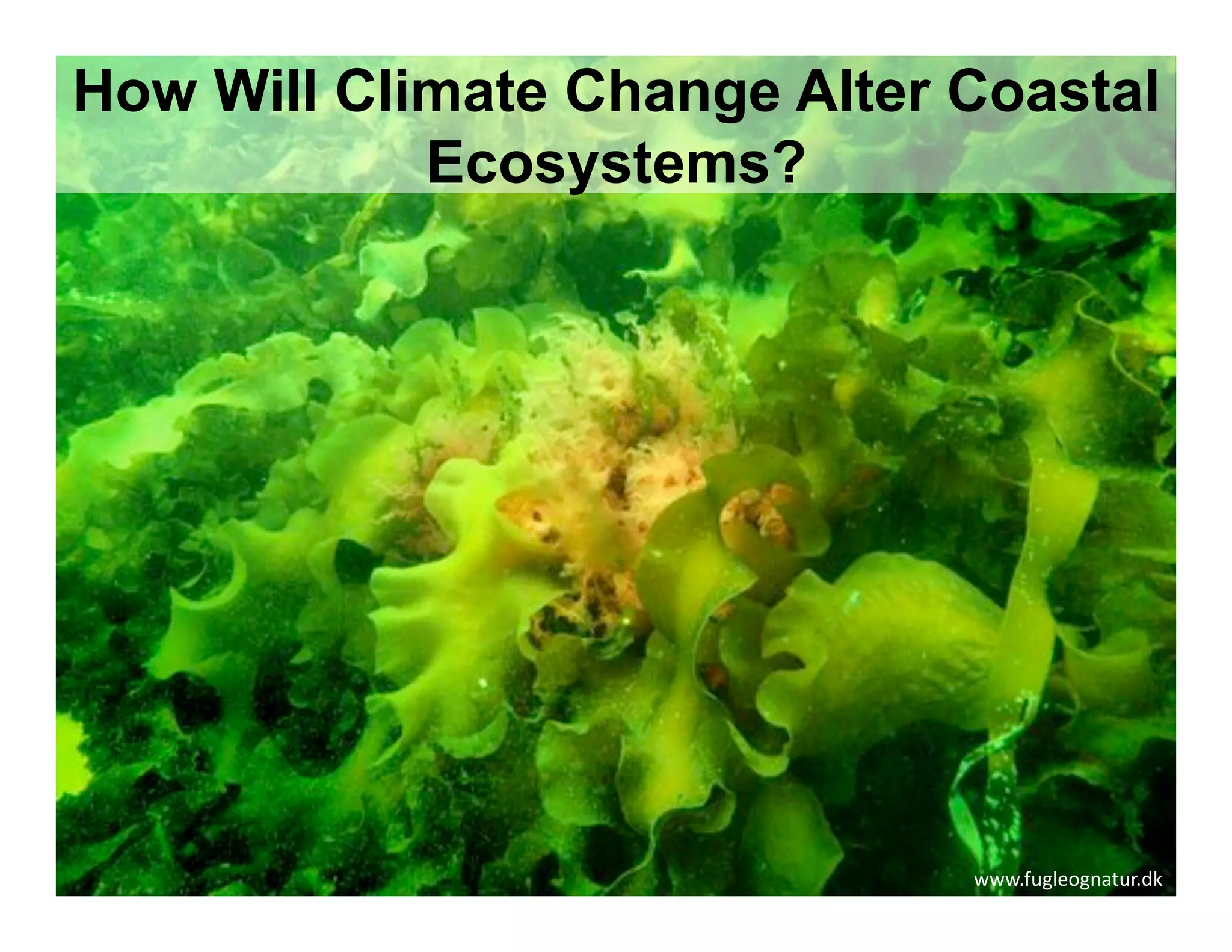 How Will Climate Change Alter Coastal
            Ecosystems?




                              XXX=,O/&)$/%"*O+=4?'
 