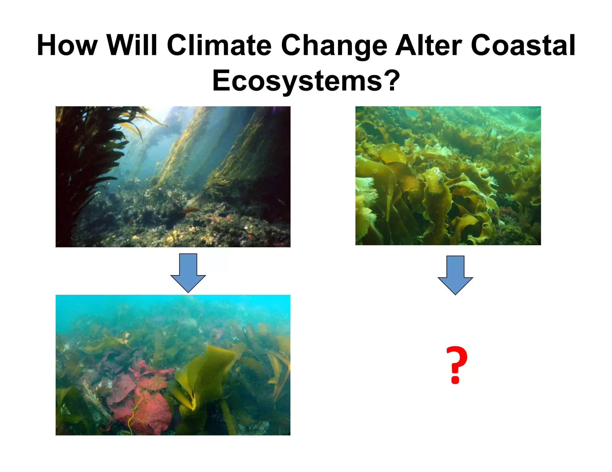 How Will Climate Change Alter Coastal
            Ecosystems?




                           ^&
 