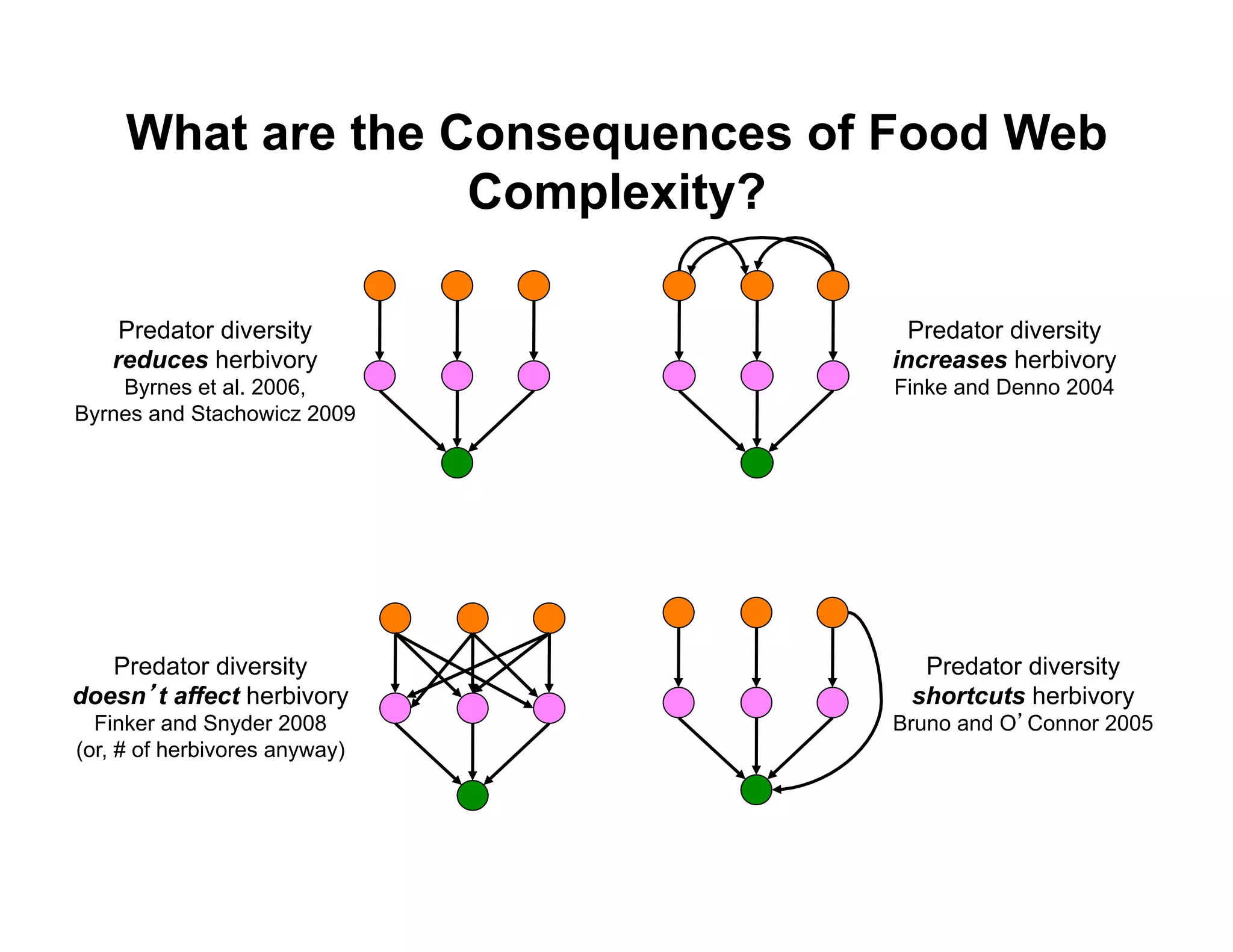 What are the Consequences of Food Web
                   Complexity?

    Predator diversity             Predator diversity
   reduces herbivory             increases herbivory
    Byrnes et al. 2006,          Finke and Denno 2004
Byrnes and Stachowicz 2009




   Predator diversity              Predator diversity
doesn t affect herbivory          shortcuts herbivory
  Finker and Snyder 2008         Bruno and O Connor 2005
(or, # of herbivores anyway)
 