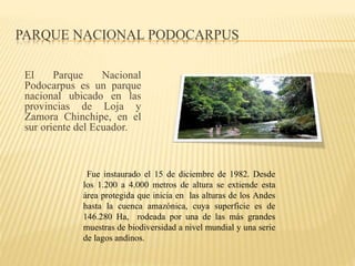 PARQUE NACIONAL PODOCARPUS
El Parque Nacional
Podocarpus es un parque
nacional ubicado en las
provincias de Loja y
Zamora Chinchipe, en el
sur oriente del Ecuador.
Fue instaurado el 15 de diciembre de 1982. Desde
los 1.200 a 4.000 metros de altura se extiende esta
área protegida que inicia en las alturas de los Andes
hasta la cuenca amazónica, cuya superficie es de
146.280 Ha, rodeada por una de las más grandes
muestras de biodiversidad a nivel mundial y una serie
de lagos andinos.
 
