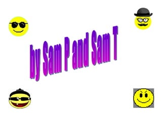 by Sam P and Sam T 