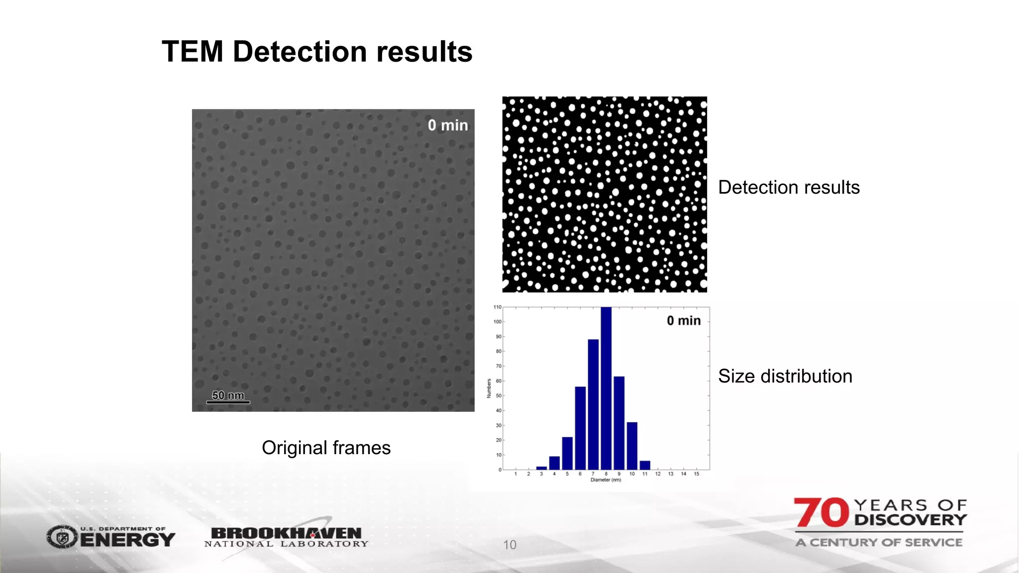 TEM Detection results
10
Original frames
Detection results
Size distribution
 