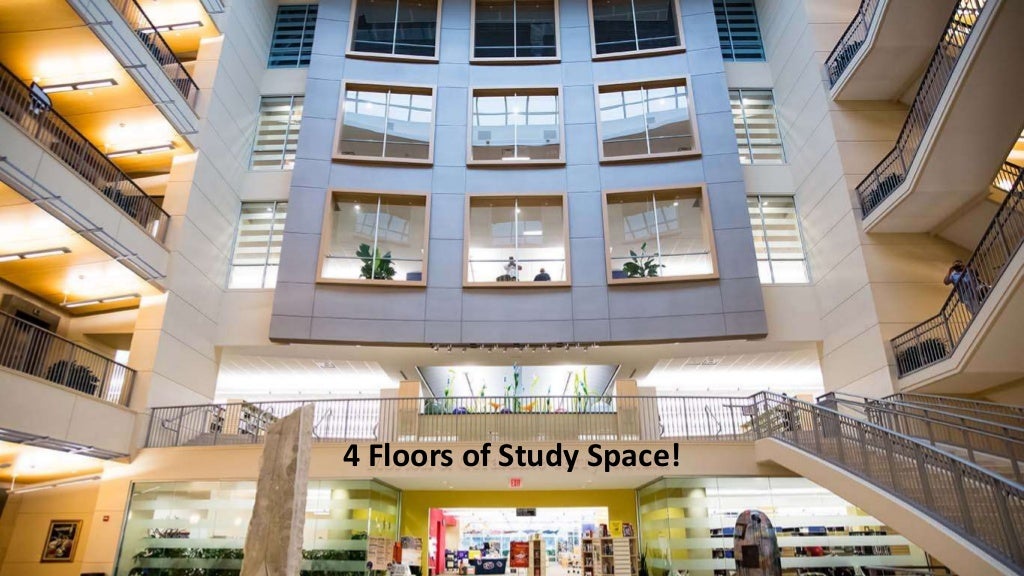 Alvin Sherman Library Unique Features