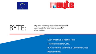 BYTE:		
Kush	Wadhwa &	Rachel	Finn
Trilateral	Research,	Ltd.
BDVA	Summit,	Valencia,	1	December	2016
#bdvasummit
Big data roadmap and cross-disciplinarY
community for addressing socieTal
Externalities
 