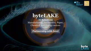 byteLAKE
AI Solutions
Manufacturing, Automotive, Paper,
Chemical, and Energy sectors
Partnership with Intel
 